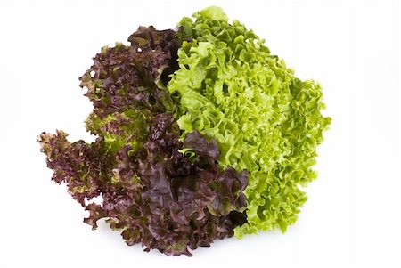 Fresh lettuce isolated on white background Photographie de stock - Aubaine LD & Abonnement, Code: 400-04877151