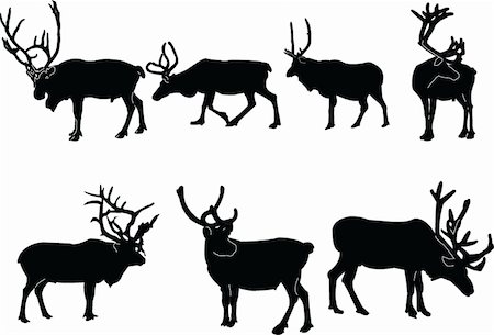 santa profile - reindeer collection - vector Stock Photo - Budget Royalty-Free & Subscription, Code: 400-04877718