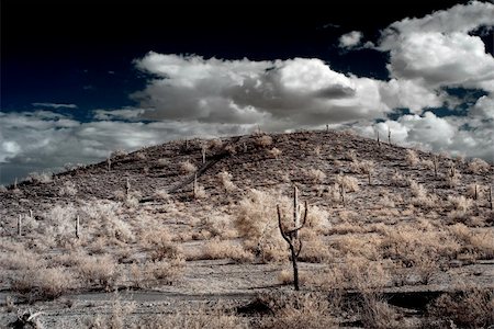 diomedes66 (artist) - Desert storm over the southwestern desert and mountains Foto de stock - Royalty-Free Super Valor e Assinatura, Número: 400-04877710