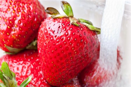 simsearch:400-05168860,k - Fresh red strawberries being washed Photographie de stock - Aubaine LD & Abonnement, Code: 400-04877907