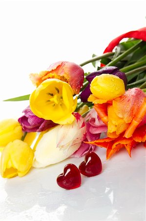 Lovely spring colored tulips with water drops lie in the bouquet in the foreground of the two red glass hearts. Isolated Stock Photo - Budget Royalty-Free & Subscription, Code: 400-04878081