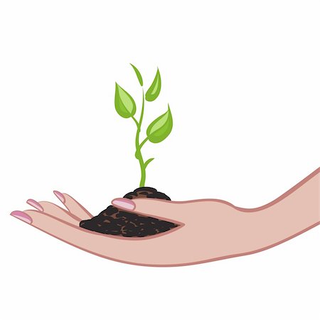 symbol present - Growing green plant in palm as a symbol of nature protection Stock Photo - Budget Royalty-Free & Subscription, Code: 400-04878477