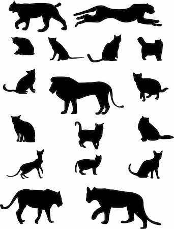 collection of cat family silhouette - vector Stock Photo - Budget Royalty-Free & Subscription, Code: 400-04878547