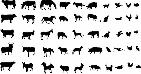 simsearch:400-07658500,k - collection of farm animals silhouettes - vector Stock Photo - Budget Royalty-Free & Subscription, Code: 400-04878548