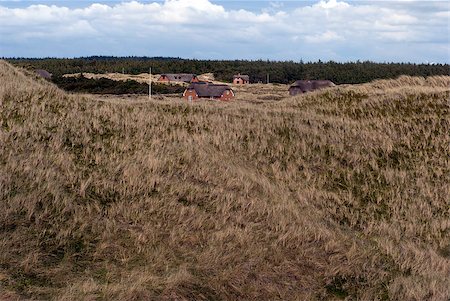simsearch:400-04879625,k - Grass dune and sommerhouses all with thatched roofs and flagpoles. Photographie de stock - Aubaine LD & Abonnement, Code: 400-04879622