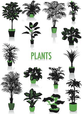 Two-tone silhouettes of house plants, part of a new collection of lifestyle objects Fotografie stock - Microstock e Abbonamento, Codice: 400-04879946