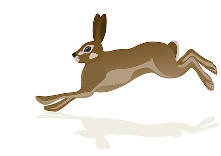 Running hare. The illustration on white background. Stock Photo - Budget Royalty-Free & Subscription, Code: 400-04879962