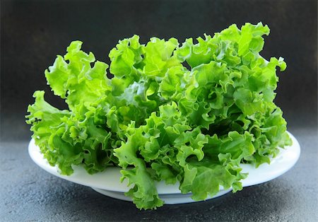salad greens on white background - fresh lettuce on a plate on a black background Stock Photo - Budget Royalty-Free & Subscription, Code: 400-04871809