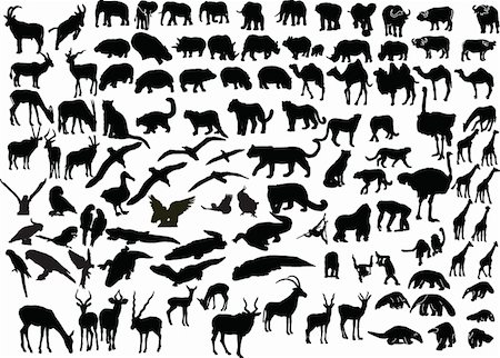 animal of africa collection - vector Stock Photo - Budget Royalty-Free & Subscription, Code: 400-04871846