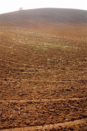 paolikphoto (artist) - Plowed farmland Stock Photo - Budget Royalty-Free & Subscription, Code: 400-04872022