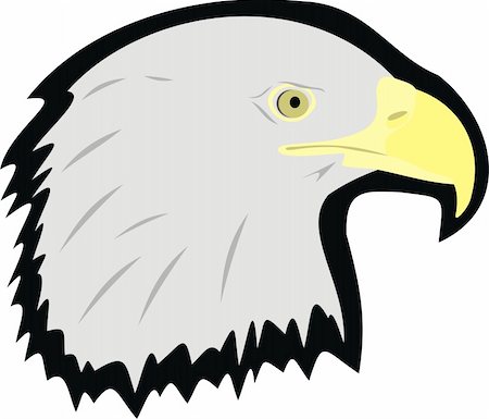 Head of an eagle. A proud bird. A bird of prey Stock Photo - Budget Royalty-Free & Subscription, Code: 400-04872237