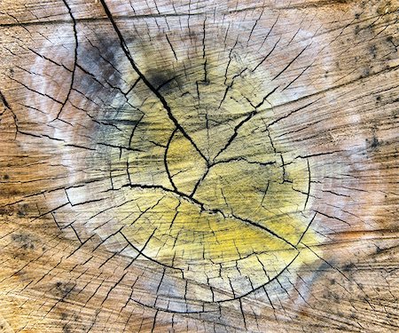 simsearch:400-08110547,k - very special cracked old wood cut texture Stock Photo - Budget Royalty-Free & Subscription, Code: 400-04872693