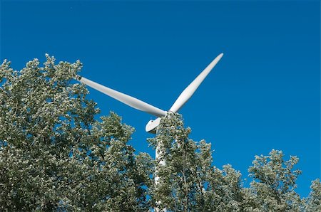 simsearch:400-04465410,k - working windturbine behind a row of trees Stock Photo - Budget Royalty-Free & Subscription, Code: 400-04872994