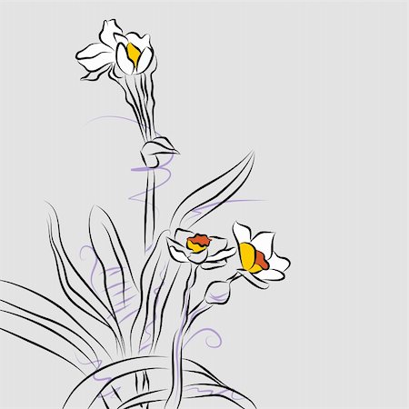 simsearch:400-05241823,k - An image of an abstract orchid flower arrangement line drawing. Photographie de stock - Aubaine LD & Abonnement, Code: 400-04873374