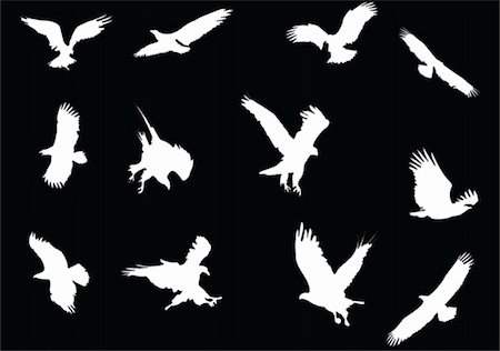 simsearch:400-08529082,k - eagles collection silhouette - vector Photographie de stock - Aubaine LD & Abonnement, Code: 400-04873801