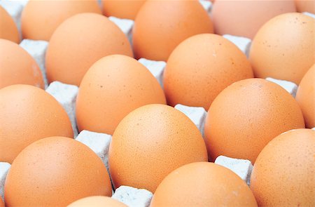 simsearch:400-04313912,k - fresh organic brown eggs Stockbilder - Microstock & Abonnement, Bildnummer: 400-04884912