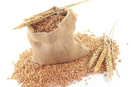 sack flour - Sack with Cereals and wheat ears on a white background Stock Photo - Budget Royalty-Free & Subscription, Code: 400-04885496