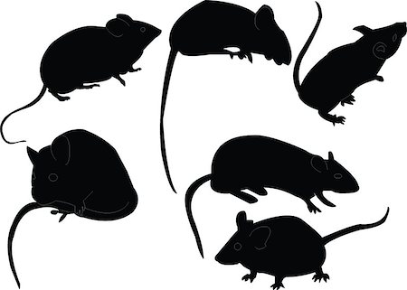 ratazana - mouse collection - vector Foto de stock - Royalty-Free Super Valor e Assinatura, Número: 400-04885997