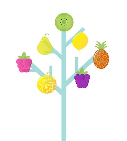 pineapple botanical - Fruit tree, retro Vector Illustration. Stock Photo - Budget Royalty-Free & Subscription, Code: 400-04886290