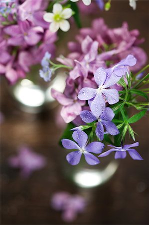 simsearch:400-04406240,k - Beautiful spring flowers in a vase on wooden background Stock Photo - Budget Royalty-Free & Subscription, Code: 400-04886561