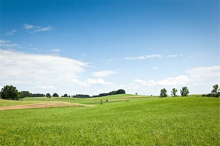 photo of lone tree in the plain - An image of a nice bavarian landscape Stock Photo - Budget Royalty-Free & Subscription, Code: 400-04886759