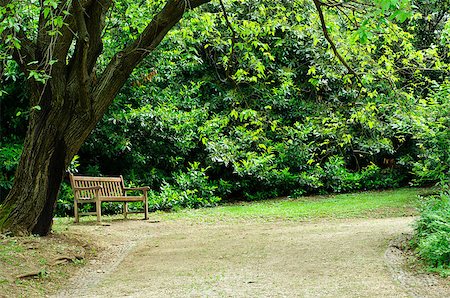 simsearch:400-05276155,k - A solitary wooden bench surrounded by trees and a nice walkway in a quiet park Foto de stock - Royalty-Free Super Valor e Assinatura, Número: 400-04888187