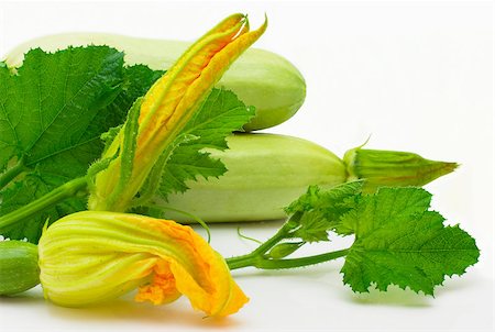 Flowers, leaves and vegetable marrow  isolated on a white Fotografie stock - Microstock e Abbonamento, Codice: 400-04889322