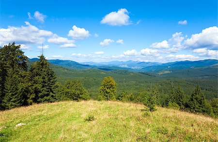 softwood - Summer mountain glade view (Carpathian, Ukraine) Stock Photo - Budget Royalty-Free & Subscription, Code: 400-04889526