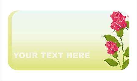 simsearch:400-04338125,k - beautiful roses banner Stock Photo - Budget Royalty-Free & Subscription, Code: 400-04889724
