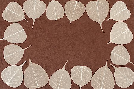 simsearch:400-05713050,k - Skeletal leaves over brown handmade paper - frame Stock Photo - Budget Royalty-Free & Subscription, Code: 400-04880600
