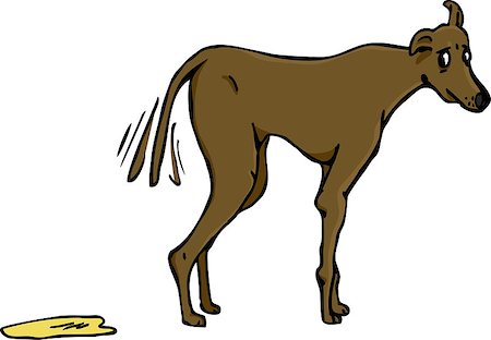 dog ear cartoon - Greyhound dog in front of pool of urine looks guilty Stock Photo - Budget Royalty-Free & Subscription, Code: 400-04880640