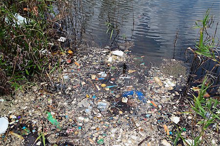 plastic pollution - Water pollution Stock Photo - Budget Royalty-Free & Subscription, Code: 400-04880717