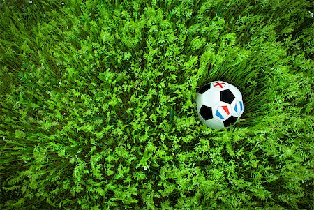 simsearch:400-08372849,k - Soccer ball on the green and tall grass Stock Photo - Budget Royalty-Free & Subscription, Code: 400-04880892
