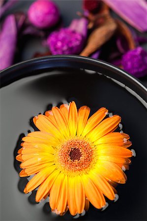 simsearch:400-05663148,k - Orange flower floating in a black bowl and purple dry flowers focus with the camera on the flower Photographie de stock - Aubaine LD & Abonnement, Code: 400-04881228