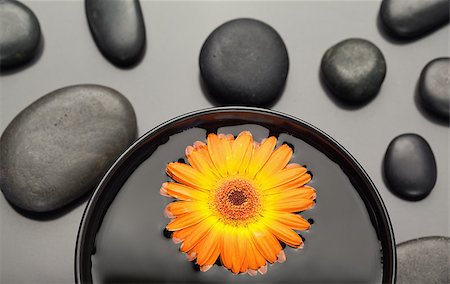 simsearch:400-04640528,k - Orange gerbera floating in a bowl surrounded by black pebbles Stock Photo - Budget Royalty-Free & Subscription, Code: 400-04881229