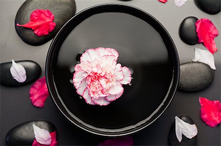 simsearch:400-04640528,k - White and pink carnation floating in a black bowl surrounded by black stones and petals Stock Photo - Budget Royalty-Free & Subscription, Code: 400-04881234