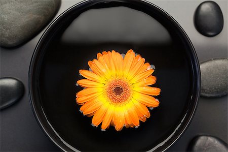simsearch:400-05282502,k - Orange flower floating in a bowl surrounded by black stones Photographie de stock - Aubaine LD & Abonnement, Code: 400-04881231