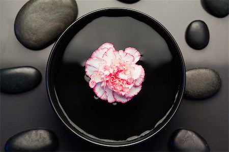 simsearch:400-04640528,k - Pink and white carnation floating in a black bowl surrounded by black stones Stock Photo - Budget Royalty-Free & Subscription, Code: 400-04881233