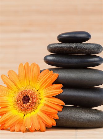 simsearch:400-04881211,k - Orange sunflower and a black stones stack Stock Photo - Budget Royalty-Free & Subscription, Code: 400-04881309