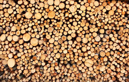 Pile of chopped fire wood prepared for winter Stock Photo - Budget Royalty-Free & Subscription, Code: 400-04882349