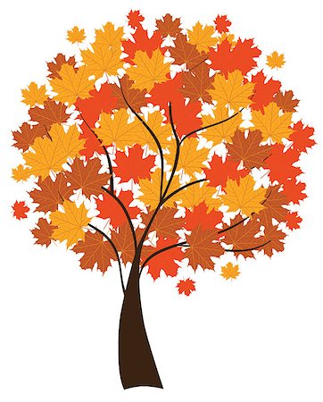 Vector illustration of a maple tree isolated on white background Photographie de stock - Aubaine LD & Abonnement, Code: 400-04882913