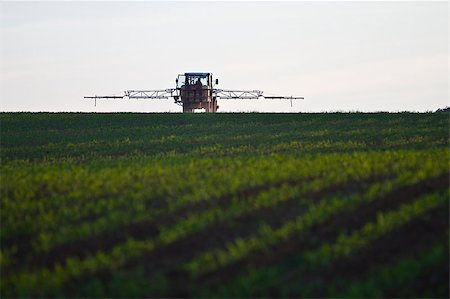 tractor with pesticide on field Photographie de stock - Aubaine LD & Abonnement, Code: 400-04894554