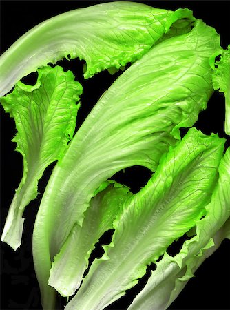 simsearch:400-04879197,k - fresh lettuce leaves over black background extreme close up Stock Photo - Budget Royalty-Free & Subscription, Code: 400-04895440