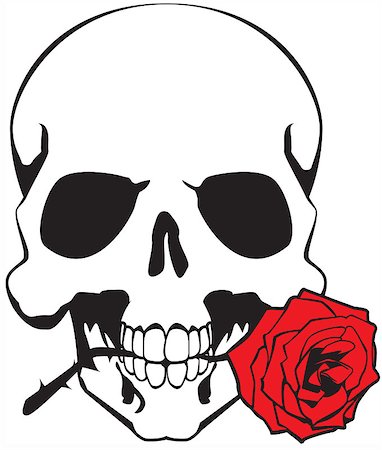 skeletal head drawing - skull & rose Stock Photo - Budget Royalty-Free & Subscription, Code: 400-04895692