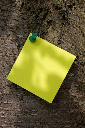 sticky notes messages - A Yellow Post-it note on a tree trunk Stock Photo - Budget Royalty-Free & Subscription, Code: 400-04895785