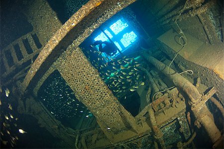 simsearch:614-03903855,k - Scuba diver exploring inside the engine room of a large shipwreck Stock Photo - Budget Royalty-Free & Subscription, Code: 400-04895781