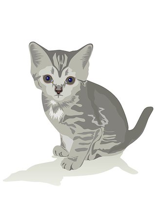 A small gray kitten sits on the floor. The illustration on white background. Stock Photo - Budget Royalty-Free & Subscription, Code: 400-04895885