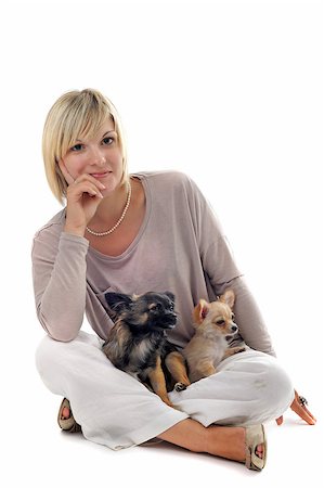 simsearch:400-06067694,k - portrait of a woman and two chihuahuas in front of white background Foto de stock - Super Valor sin royalties y Suscripción, Código: 400-04896208