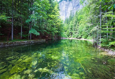 simsearch:400-04526658,k - Beautiful summer Alpine  lake Toplitzsee emerald green view (Austria) Stock Photo - Budget Royalty-Free & Subscription, Code: 400-04896247