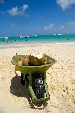 A coconut drink in wheelbarrow on beach Stockbilder - Microstock & Abonnement, Bildnummer: 400-04896347